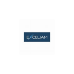 Exceliam