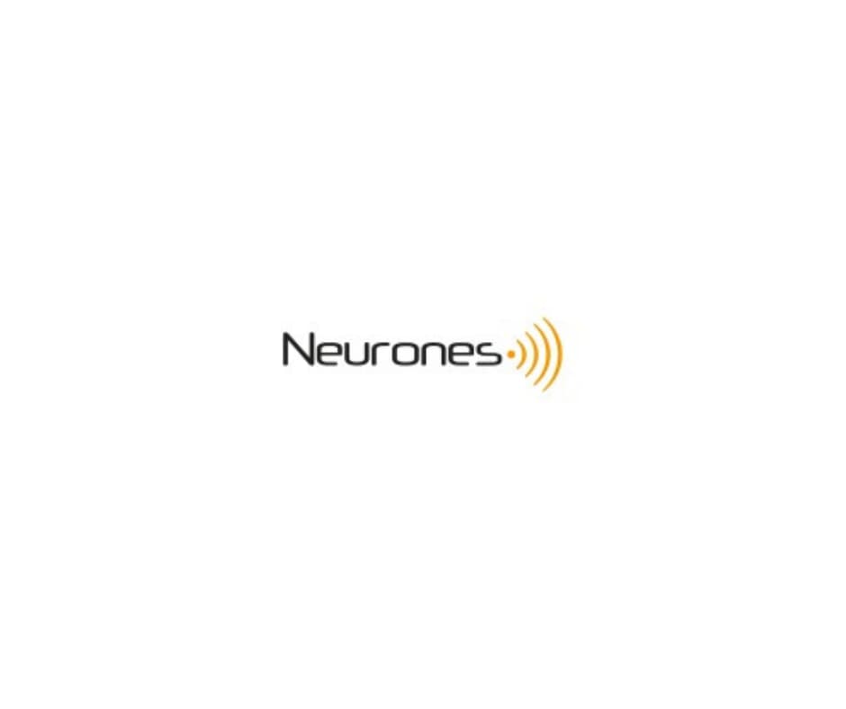 Neurones