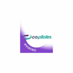 Co-pilotes