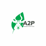 AFRIQUE PHYTO PLUS