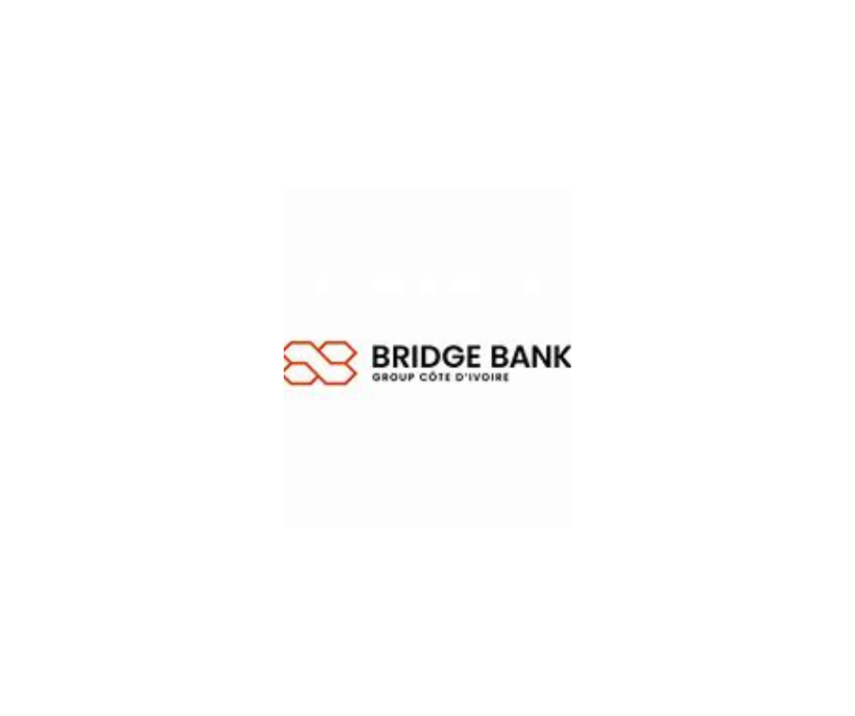 BRIDGE BANK GROUP