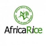 AfricaRice