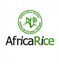 AfricaRice