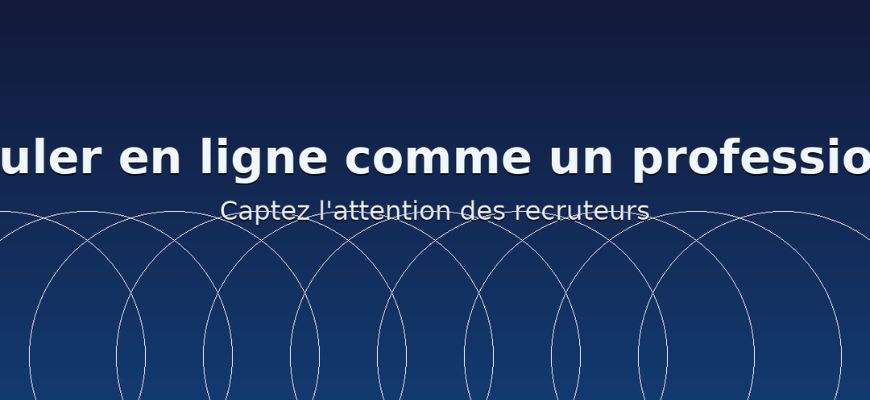 Postuler en Ligne Professionnellement:  Réussir sa candidature
