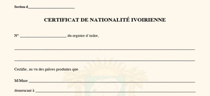 Certificat de nationalité en ligne: simplifiez vos démarches