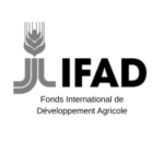 FIDA