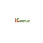 KANESSE