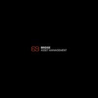 BRIDGE ASSET MANAGEMENT BRIDGE ASSET MANAGEMENT