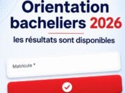 Orientation bacheliers 2026 : les résultats sont disponibles Orientation bacheliers 2026