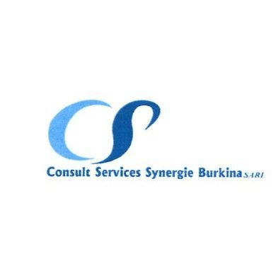 Logo Consult Services Synergie