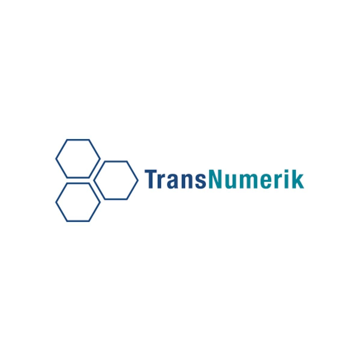 Transnumerik